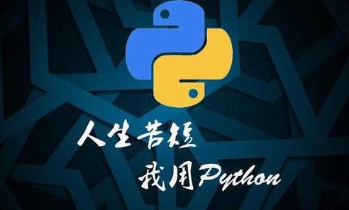 python工作中能做什么?