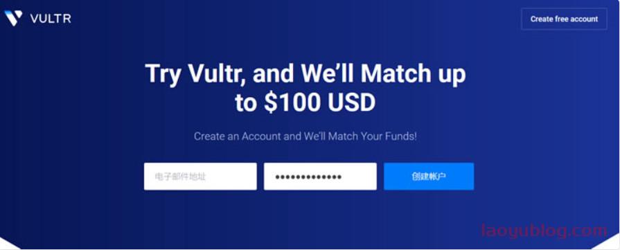 5、Vultr 荷兰VPS