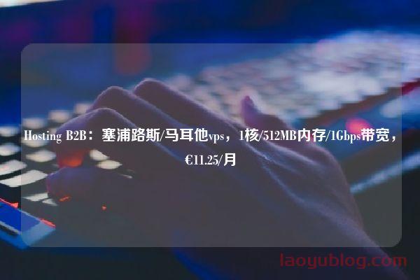 Hosting B2B：塞浦路斯/马耳他vps，1核/512MB内存/1Gbps带宽，€11.25/月