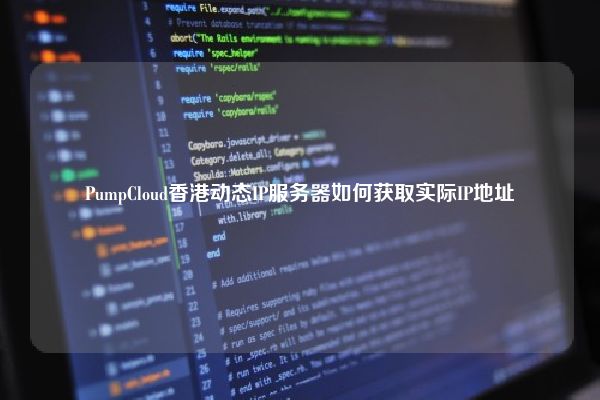 PumpCloud香港动态IP服务器如何获取实际IP地址