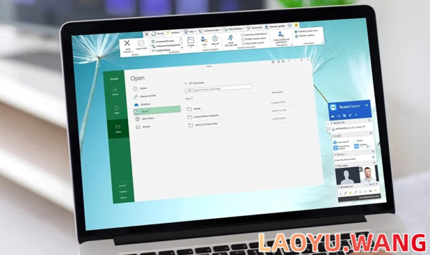 AnyDesk远程
